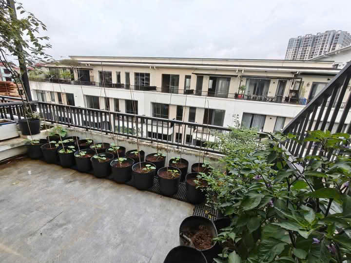 Cần bán căn nhà phố hoàn thiện đủ đồ đẹp bên khu thủy trúc Ecopark 6