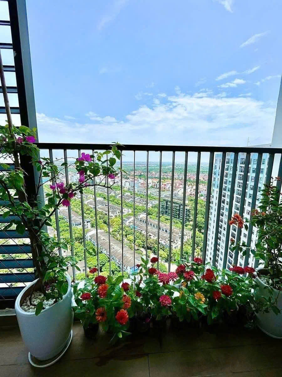 Căn hộ 2 phòng ngủ, full đồ bên tòa Lake 2 Ecopark cho thuê 5