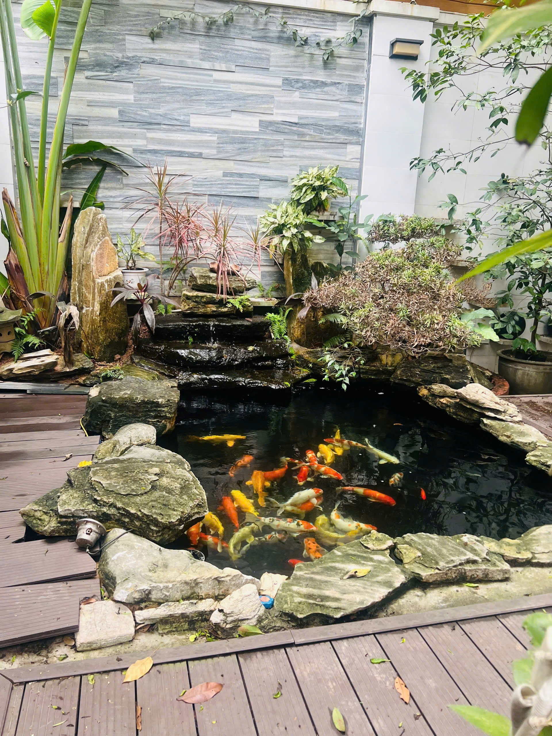 Biệt thự đơn lập ven sông 325m2,sân vườn rộng bên khu Vườn tùng Ecopark cần bán