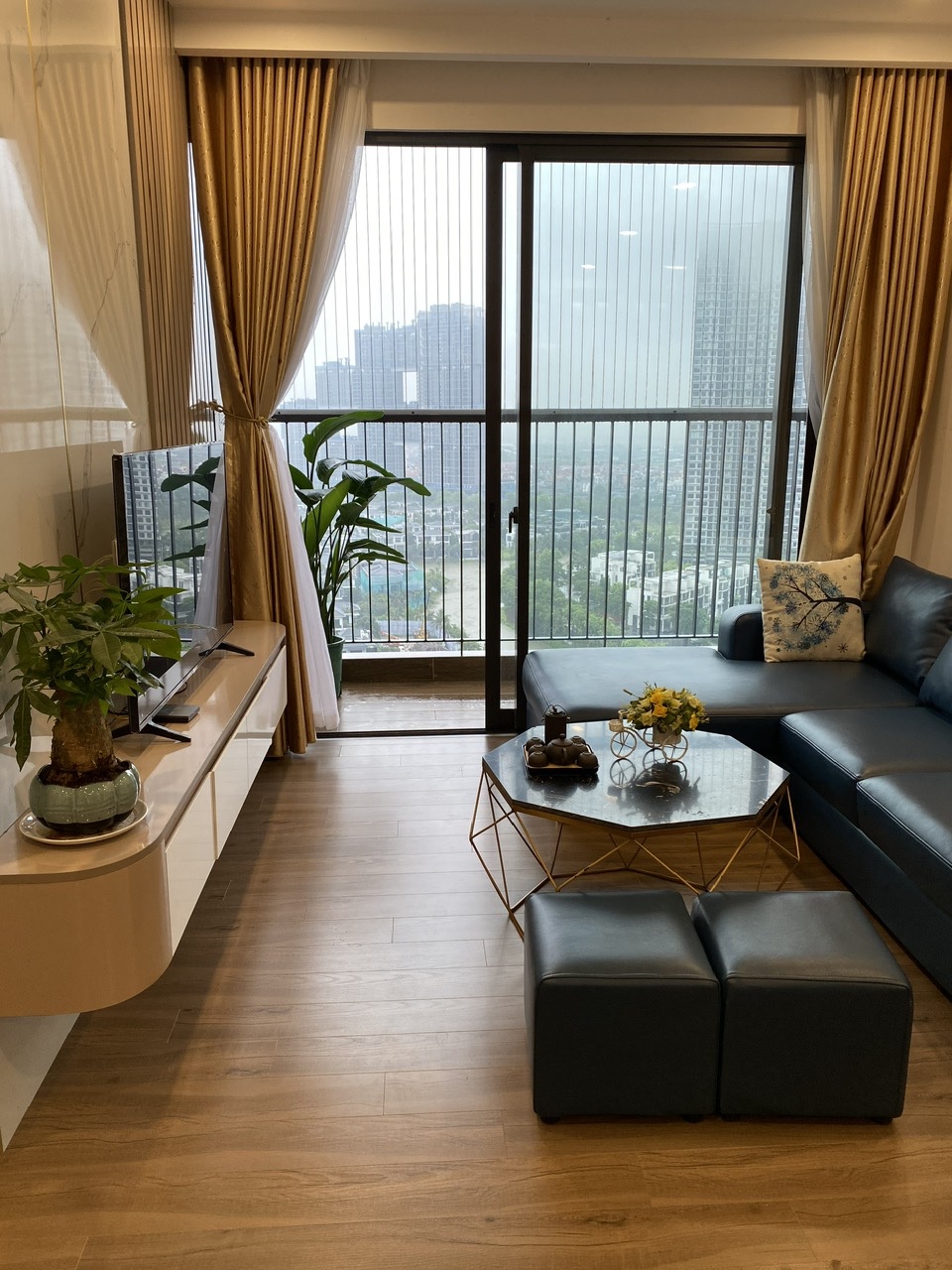 Căn hộ 3 phòng ngủ, view đảo ,đầy đủ đồ bên tòa S2 Sky Oasis Ecopark cần cho thuê
