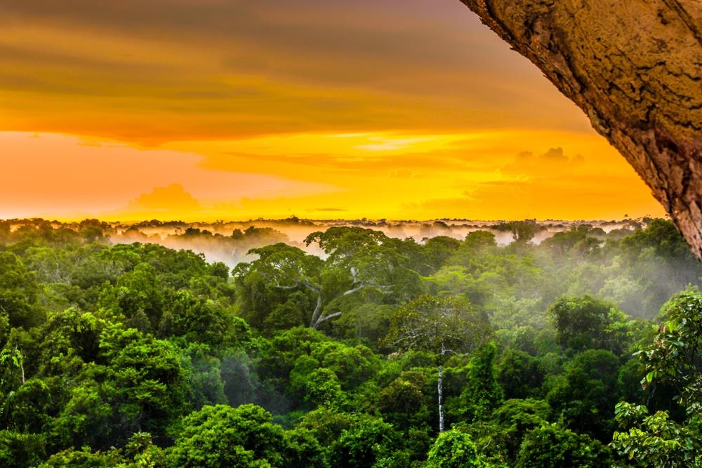 Sự hùng vĩ của rừng Amazon